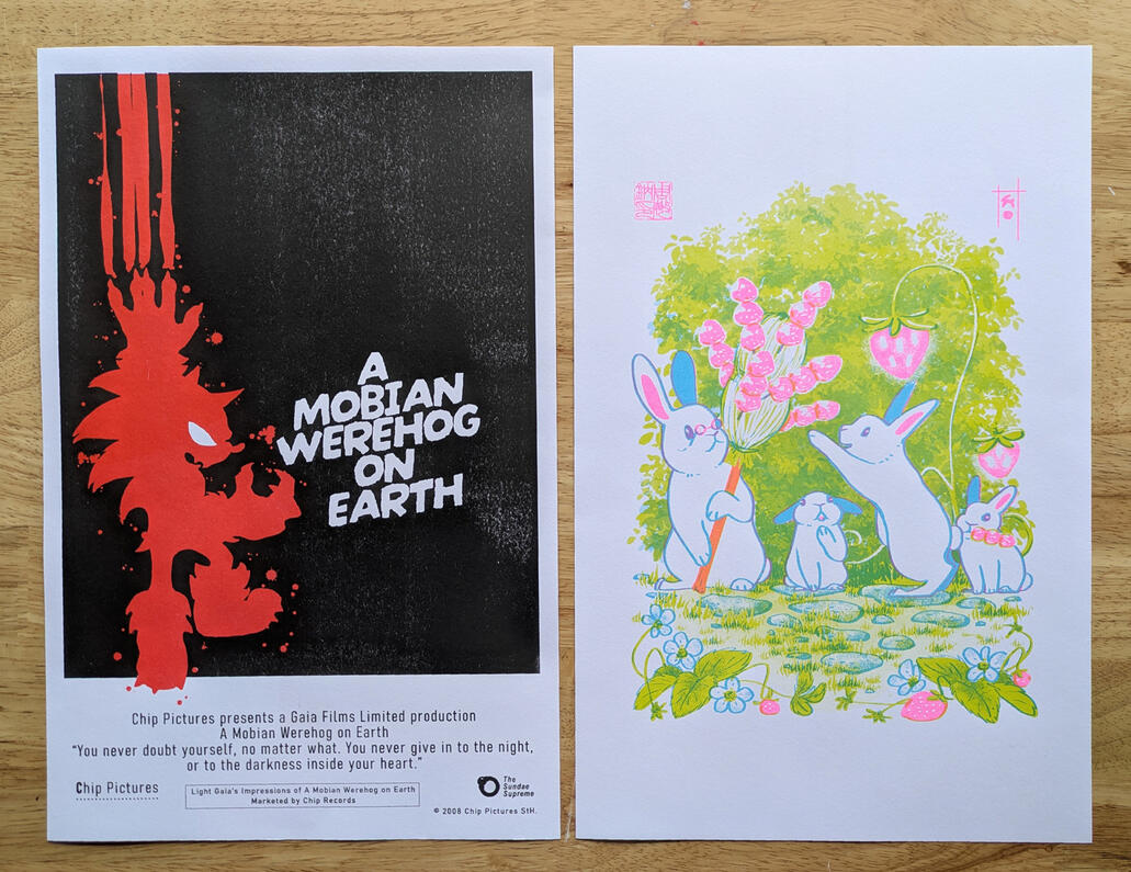 11 x 17 Riso Prints